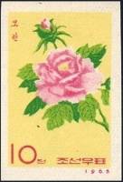 (1965-085) Марка Северная Корея "Чайная роза"   Цветы III Θ